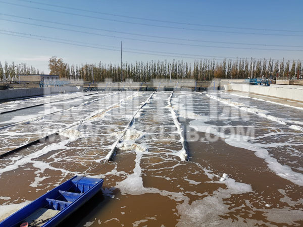 內蒙汙水處理廠懸掛鏈曝（pù）氣器安裝現場